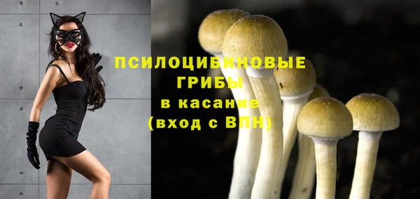 apvp Семёнов