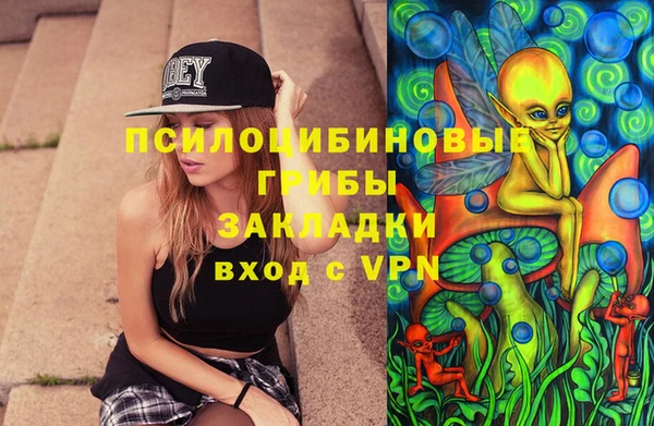 прущие крисы Верея