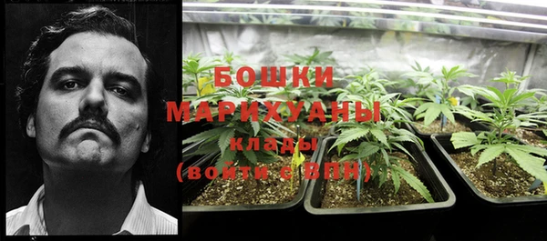 прущие крисы Верея