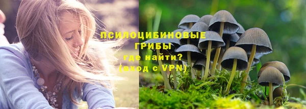 2c-b Верхний Тагил