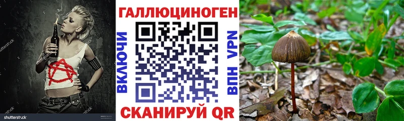 продажа наркотиков сайты даркнета клад Галлюциногенные грибы Psilocybine cubensis Можайск